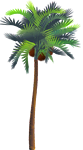 <img:stuff/CocoPalmTreeSM_rev.png>