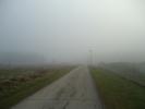 <img0*100:stuff/Cold_fog_noon.jpg>