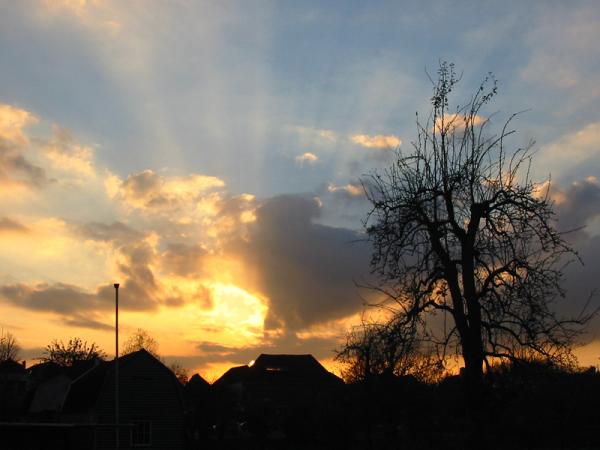 <img600*0:stuff/Culemborg_sunset_1.jpg>