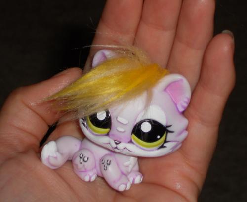 <img500*408:stuff/Custom_Littlest_Petshop.jpg>