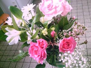 <img300*0:stuff/D%3ADenisaImagesciel%20et%20fleursPICT5230.JPG>