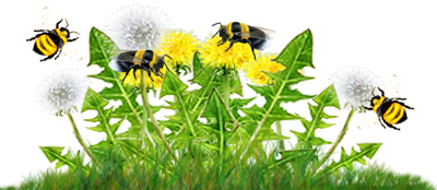 <img:stuff/DandelionCluster_B-beesOn_flying.png>