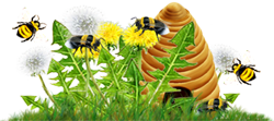 <img:stuff/Dandelions_bees_hive_SM.png>