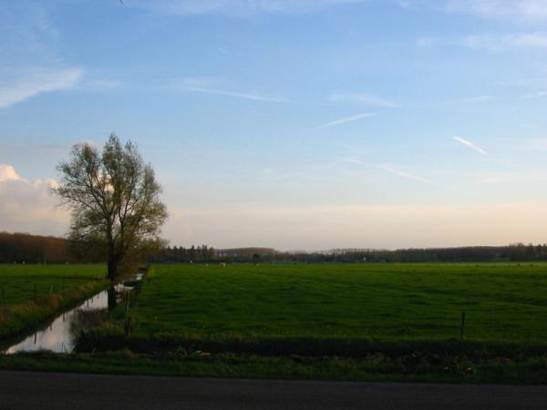 <img600*0:stuff/Dutch_countryside_1.jpg>