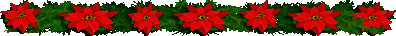 <img:stuff/EvergreenPoinsettas.gif>