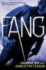 FANG review