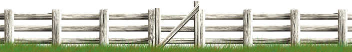 <img:stuff/Fence-White_gateinfront705X106.png>