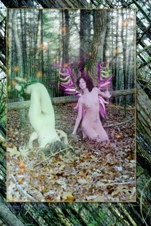 <img300*0:stuff/Forest-Fairy-dev.jpg>