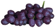 <img:stuff/Grapes-Red.png>