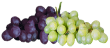 <img:stuff/Grapes-Red_White.png>
