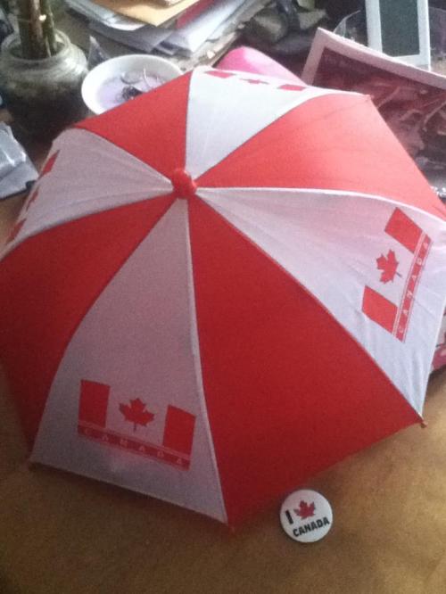 <img500*666:stuff/HAPPYBDAYCANADA%21.jpg>