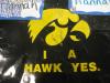 I_A_HAWK_YES