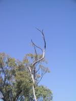 <img150*0:stuff/Iskeoutback1.jpg>