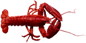 <img:stuff/LobsterSM.png>