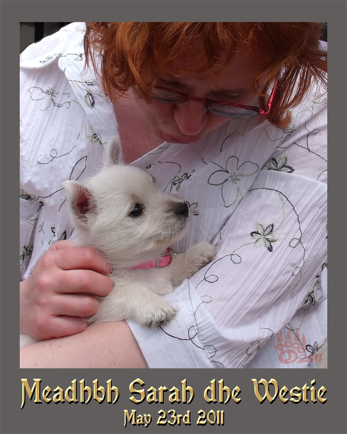<img:stuff/Meadhbh%20Sarah%20dhe%20Westie%201banner.png>