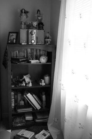 <img300*0:stuff/My_Old_Room%27s_Bookshelf.jpg>