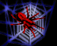 <img:stuff/Neon%20wb%20w%20OrRed%20spider%20rev.psd.jpg>