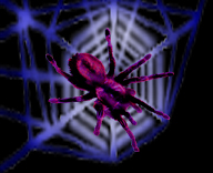 <img:stuff/Neon%20web%20%26%20spider%20rev.psd.jpg>