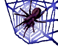 <img:stuff/Neon%20web%20no%20bkgrd%20spider%20rev.psd.gif>