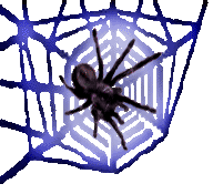 <img:stuff/Neon%20web%20orig%20no%20bkgrd%20spider%203.psd.gif>