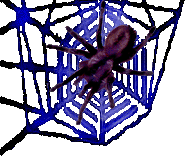 <img:stuff/Neon%20web%20w%20bkgrd%20spider%202.psd.gif>