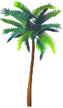 <img:stuff/PalmTreeSM.png>