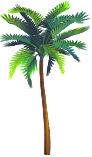 <img:stuff/PalmTreeSM_rev.png>