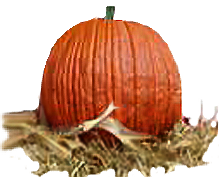 <img:stuff/Pumpkin-real!.png>