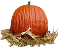 <img:stuff/Pumpkin-realSM.png>