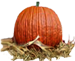 <img:stuff/Pumpkin-realX-SM.png>