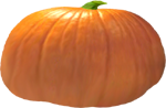 <img:stuff/PumpkinPatch_10Med.png>