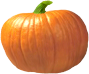 <img:stuff/PumpkinPatch_1Med.png>