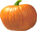 <img:stuff/PumpkinPatch_1SM.png>