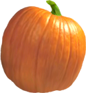 <img:stuff/PumpkinPatch_6Med.png>