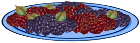 <img:stuff/Raspberries-RednBlkOnPlate_2.png>