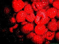 <img200*0:stuff/Raspberries.jpg>
