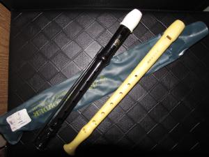 <img300*0:stuff/Recorders_New_and_Old.jpg>