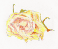 <img200*0:stuff/Rose_For_My_Princess.gif>