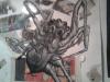 Spider_2_ink_and_paint