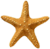 <img:stuff/Starfish2Bullet.png>