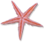 <img:stuff/Starfish4Bullet.png>