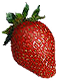 <img:stuff/Strawberry!-2.png>