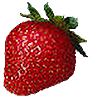 <img:stuff/Strawberry!.png>