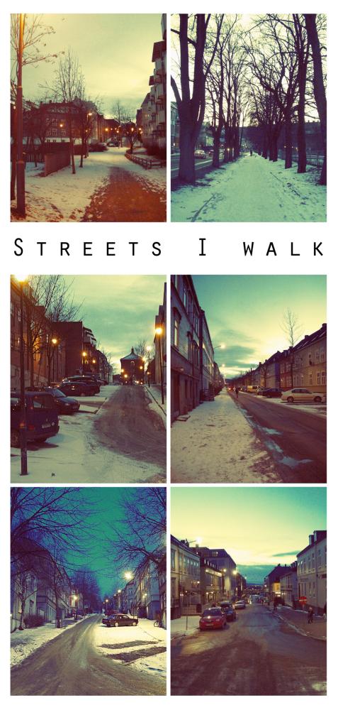 <img477*1000:stuff/Streets_I_walk.jpg>