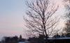 <img100*0:stuff/Sunset_Tree.jpg>