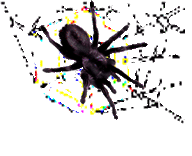 <img:stuff/Trace%20C%20web%20spider%203.psd.gif>