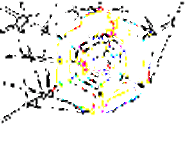 <img:stuff/Trace%20contour%20web%20no%20bckgrd%20rev.psd.gif>