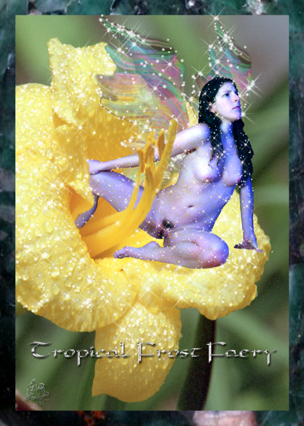 <img600*0:stuff/Tropical-Frost-Faery-Puzzle.png>