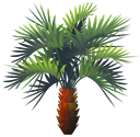 <img:stuff/TropicalPlant3SM.png>