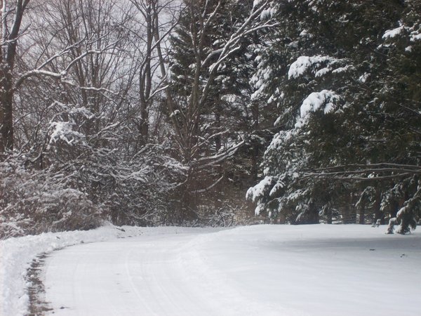 <img:stuff/Winding_Snowy_Drive_by_DarcynNieght.jpg>